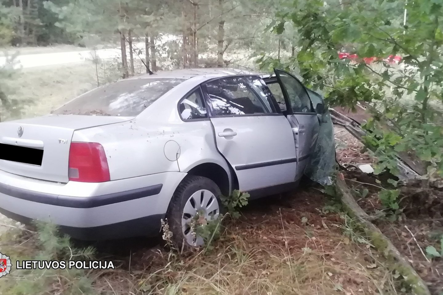 Žiauri nelaimė Kazlų Rūdos savivaldybėje: žuvo į medį įsirėžusio automobilio vairuotojas.<br> Policijos nuotr.