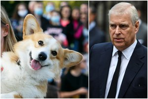 Šaltiniai: po karalienės Elizabeth II mirties du korgiai atiteks jos sūnui princui Andrew