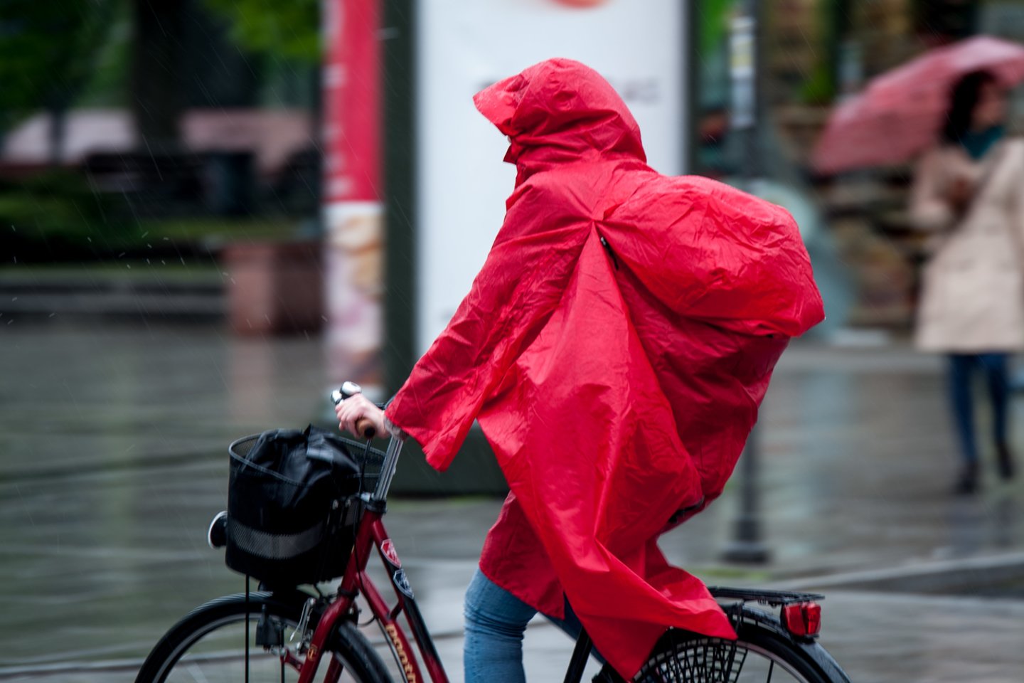 Šią savaitę pietvakarių, vakarų oro srautai į mūsų šalį didesnės šilumos neatneš, tik trečiadienį ir tik kai kur temperatūra kils iki 20 laipsnių.