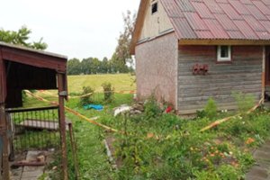 Tragiška meilės dramos atomazga Kėdainių r.: pusnuogės 24-erių merginos kūnas rastas prie krūmo