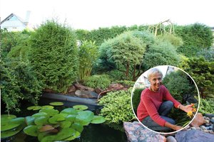 Kaunietė sodybai perka ne brangias, o beveik sunykusias gėles – atgaivina ir džiaugiasi žiedais