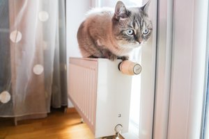 Vieni miestai jau pasirūpino šildymo sezonu, o kiti dar delsia – štai kas ir kiek įsigijo biokuro