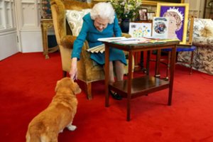 Tikrieji karališki šunys – mišrūnai, kuriuos dar vaikystėje sukūrė karalienė Elžbieta II ir jos sesuo