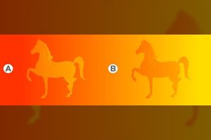 Kuris žirgas ryškesnis? Štai ką tai sako apie jus