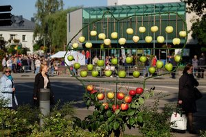 Obuolinės ir turizmo naktis Anykščiuose: derliaus mugė ir dar nepatirti pasivaikščiojimai po Anykščius