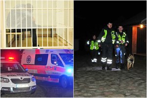 Kraupia žmogžudyste kaltinamas Vilniaus verslininkas veržiasi į laisvę – siūlo 15 000 eurų užstatą