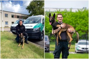 Kinologas suskubo padėti išsigandusiam vyrui: į ligoninę teko žaibiškai gabenti nėščiąją