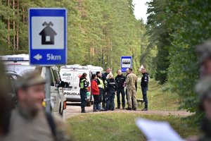 Uogavimas virto trijų dienų paieškomis: miške rasta pradingusi moteris