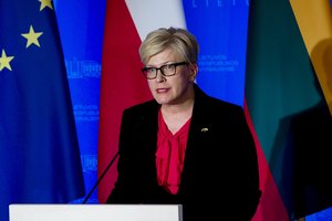 I. Šimonytė: džiaugsmą ir euforiją dėl ukrainiečių kontrpuolimo keičia daug baisesnis suvokimas