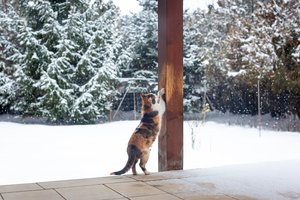 Vilnietė pasidalijo, kaip taupo šildymo sezono metu: būtina atlikti du darbus