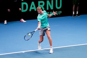 Lietuvių palaikymu sužavėtas E. Butvilas po pralaimėjimo įžvelgė ir galimą egiptiečių gudrybę