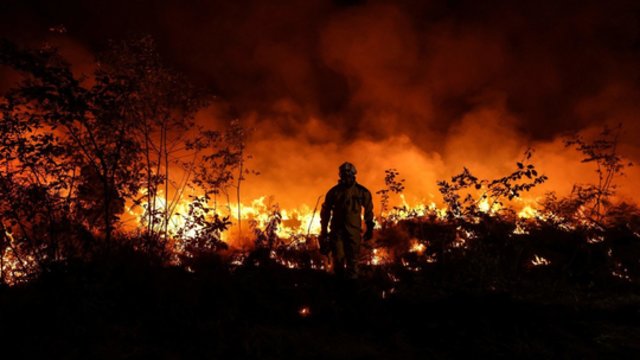 Prancūzijoje vis siaučia niokojantys gaisrai: išdegė beveik 70 tūkst. hektarų teritorija