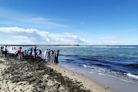 Pamatęs, ką būrys žmonių daro prie jūros, išsitraukė kamerą: „Iš arti tai regėjau pirmąkart!“