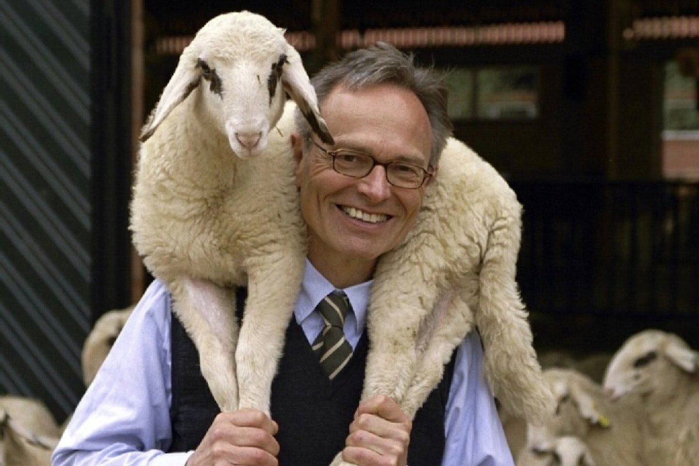 Guntherio Fielmanno avių ūkis.