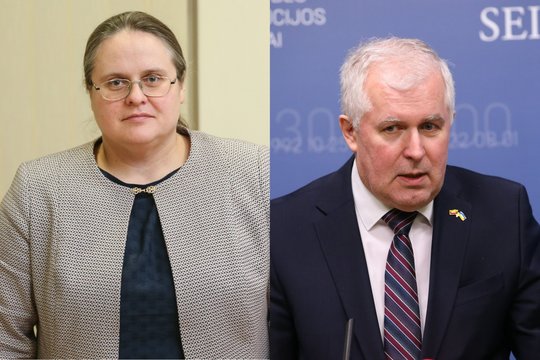 A. Širinskienė dėl A. Anušausko nuotraukų su drabužių kainomis kreipėsi į Etikos ir procedūrų komisiją