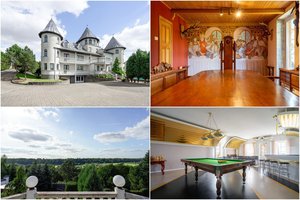 Parduodama garsioji H. Daktaro vila Užliedžiuose: tikisi įspūdingos sumos