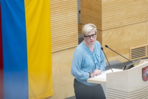 I. Šimonytė: Prezidentūra nori būti „truputį Vyriausybe“