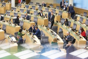 Seimo komitetas svarstys ar ketinimai įvesti tiesioginį valdymą LFF atitinka Konstituciją