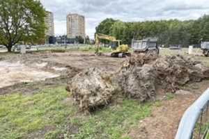 Žaliasis Kaunas pralaimi: statys daugiabutį – nepagailėjo net ąžuolų