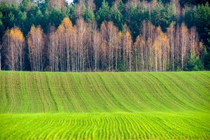 Žemės ūkis neišvengiamai turės prisidėti prie gamtos išsaugojimo