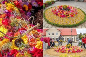 Švėkšniškiai miestelį dešimtą kartą išpuošė gėlių kilimais: vienas jų – ypatingas