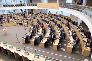 Seimas po pateikimo pritarė LFF tiesioginio valdymo įstatymui