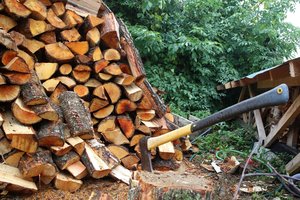 Merai su nerimu laukia žiemos: jau dabar grįžtama į XIX amžių, o atšalus orams problemos paaštrės