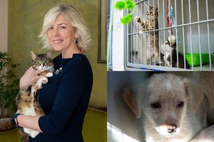 Gyvūnų prieglaudas įkūrė neištvėrusi skaudžios realybės: štai kokia situacija globos namuose yra dabar