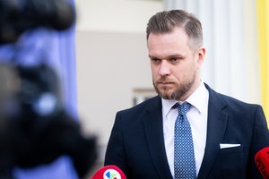 G. Landsbergis apie atstovavimo EVT klausimą: aš manau, kad yra racionalu jį dabar prisiminti