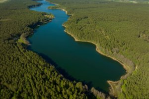 Planas savaitgaliui: 37 ežerų slėpiniai Veisiejų regioniniame parke