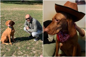 Stakėnų šeimą augintinė Rumba išmokė svarbių dalykų, tarp kurių – ir susirinkti kojines