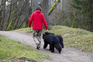 Šunis vedžiojusių panevėžiečių konfliktas: primušė už pastabą dėl augintinio