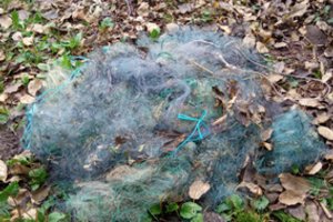 Panevėžio aplinkosaugininkai iš tinklininko paėmė beveik 400 metrų tinklų