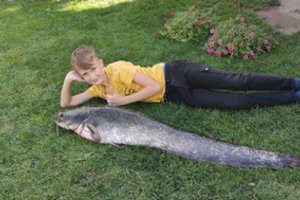 Įspūdingas laimikis: dešimtmečio glėbyje – beveik jo dydžio šamas