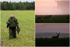 Įspūdingas elnių „tuoktuves“ stebintis Donatas: nuo kūrinijos grožio kvapą gniaužia