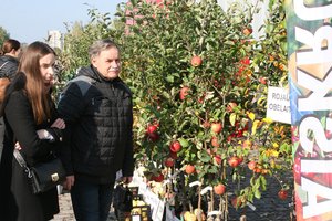 Derliaus šventėje marijampoliečiai domėjosi ir rudens gėrybėmis, ir kovojančių ukrainiečių ginklais