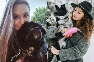 Lrytas.lt žurnalistės griauna stereotipus apie gyvūnus iš prieglaudų: radome auksinius šunis