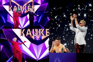 Paaiškėjo, kas slėpėsi po Pipiro kauke: apie žmonos dalyvavimą neįtarė net garsus vyras 