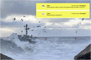 Įspėja pasisaugoti: vėjas pasieks pavojingo reiškinio lygį, tarnybos pasiruošusios reaguoti