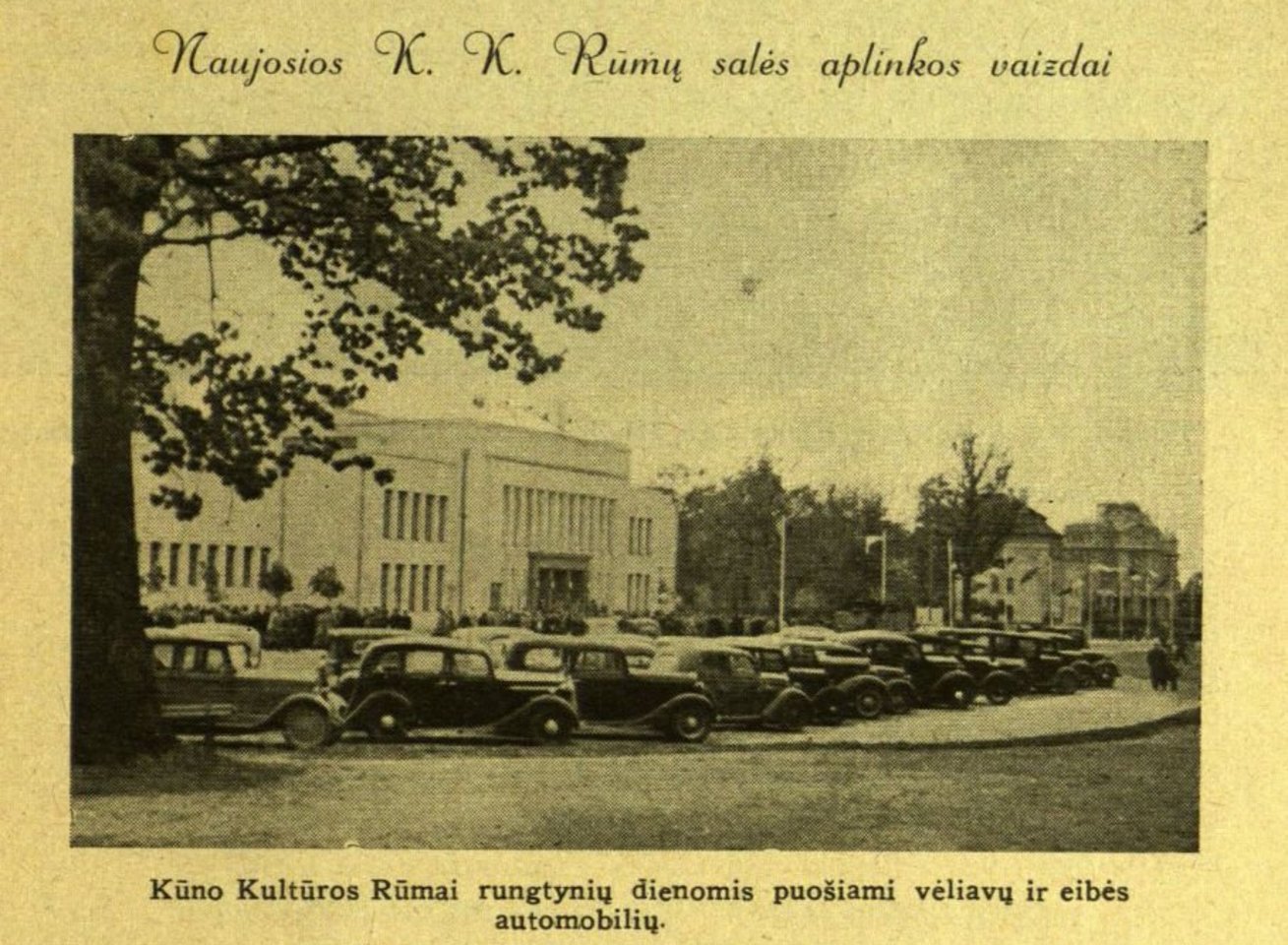 Kauno halės statyba ir atidarymas tapo reikšmingiausiu įvykiu Lietuvos sportui.