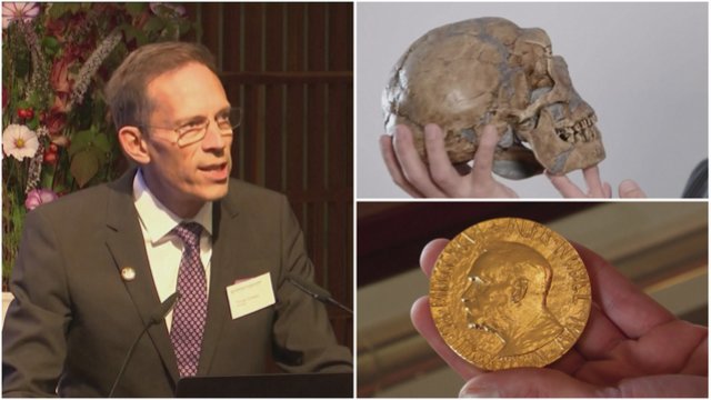 Už stulbinančius atradimus Nobelio medicinos premija įteikta švedui