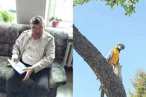 Dvaro šeimininkas ir kunigas stojo į kovą dėl papūgos, o sulaukęs bausmės jaučiasi nekaltas