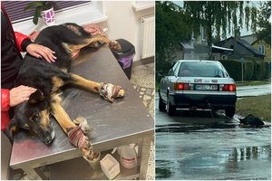 Prie automobilio pririštą šunį tempęs Šakių ugniagesys: jį prikabinti galėjo prastai matantis tėvas