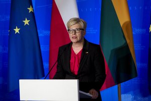 I. Šimonytė: Rusijai nereikia priežasties elgtis agresyviai