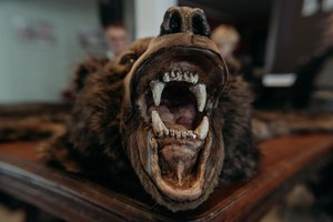 Klaipėdoje gimsta mistinis trileris – Broniaus Kutavičiaus jubiliejui skirta opera „Lokys“