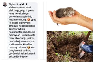 Patvory pakasti nužudytų gyvūnų kūnelius siūlęsis religinių tiesų skleidėjas šokiravo savo pamąstymais