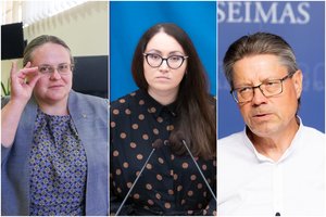 S. Šedbaras: A. Širinskienės siūlymas gali prieštarauti Konstitucijai