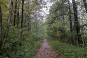 Sostinės pakraštyje slepiasi istorinis kelias: nuotykių čia netrūko