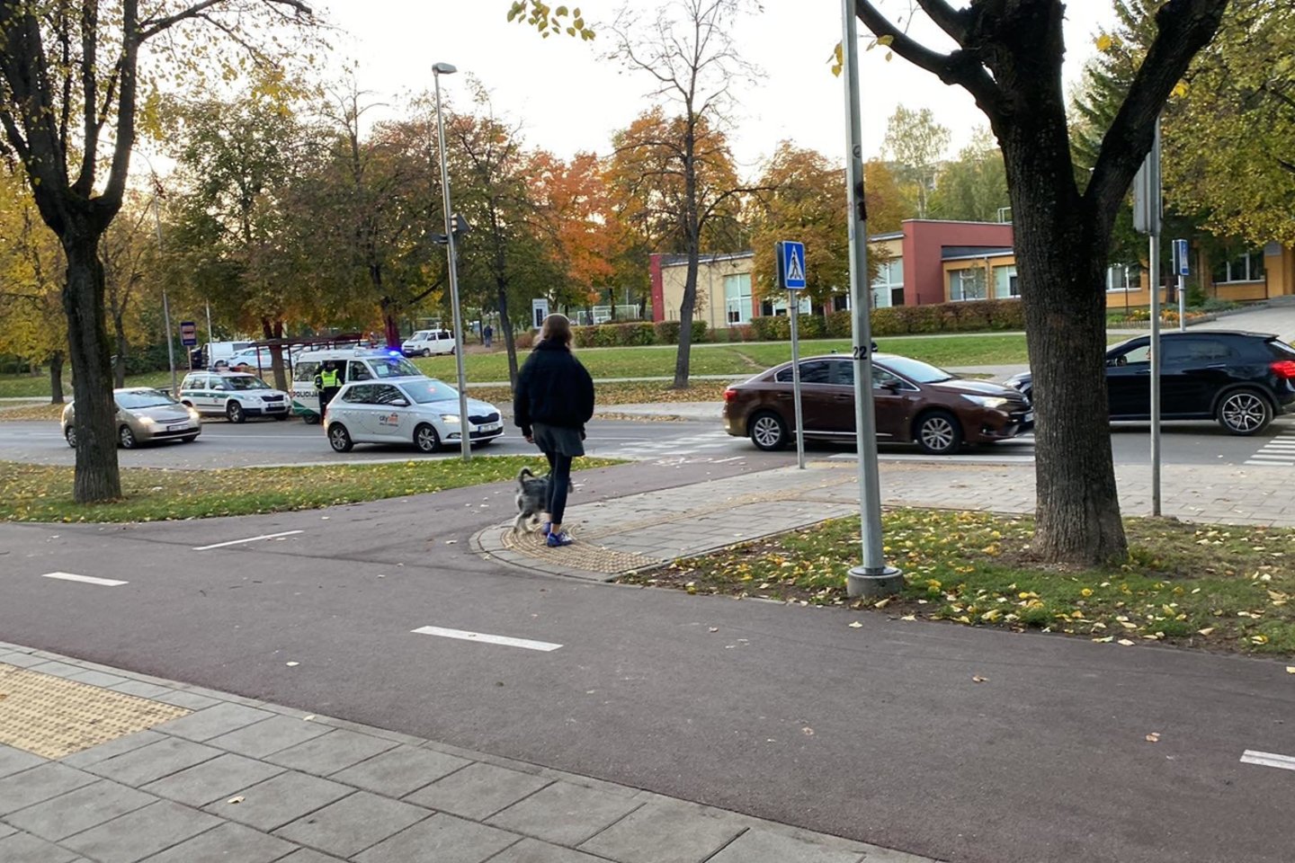 Pėsčiųjų perėjoje Vilniuje BMW partrenkė moterį.<br> Įvykio liudininkės nuotr.