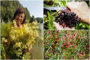 Žolininkė patarė, kokių vertingų uogų rudenį prisirinkti gali kiekvienas: vitaminų bomba pasaldins gyvenimą